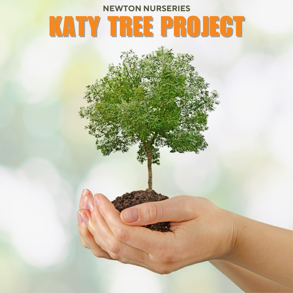 Introducing the Katy Tree Project: Growing a Greener Katy with Newton ...