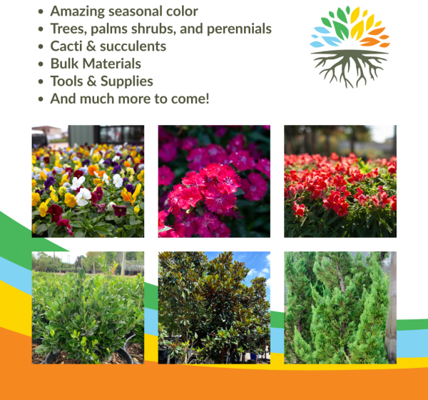 LWD products LWD products