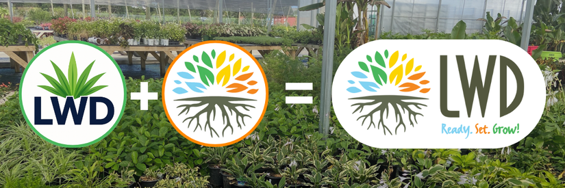 NN - LWD Header2 lwd header